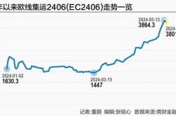 如何规避国际航运价格剧烈波动风险？集运指数期货上市一周年作用渐显