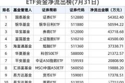 主力榜中证主力资金净流入亿元，居可比基金前