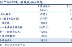 基金的份额和金额